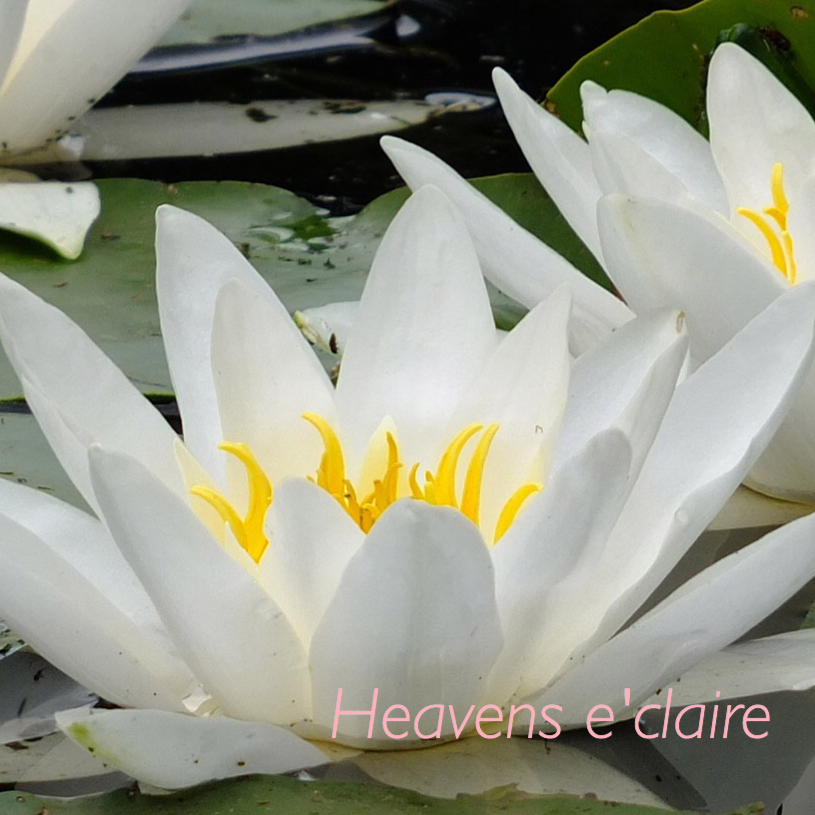 ヘヴンズエクレール