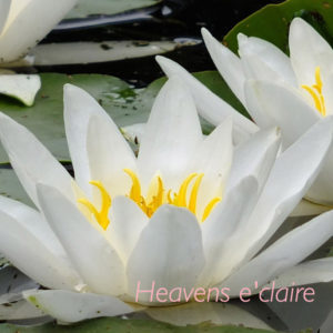 ヘヴンズエクレール